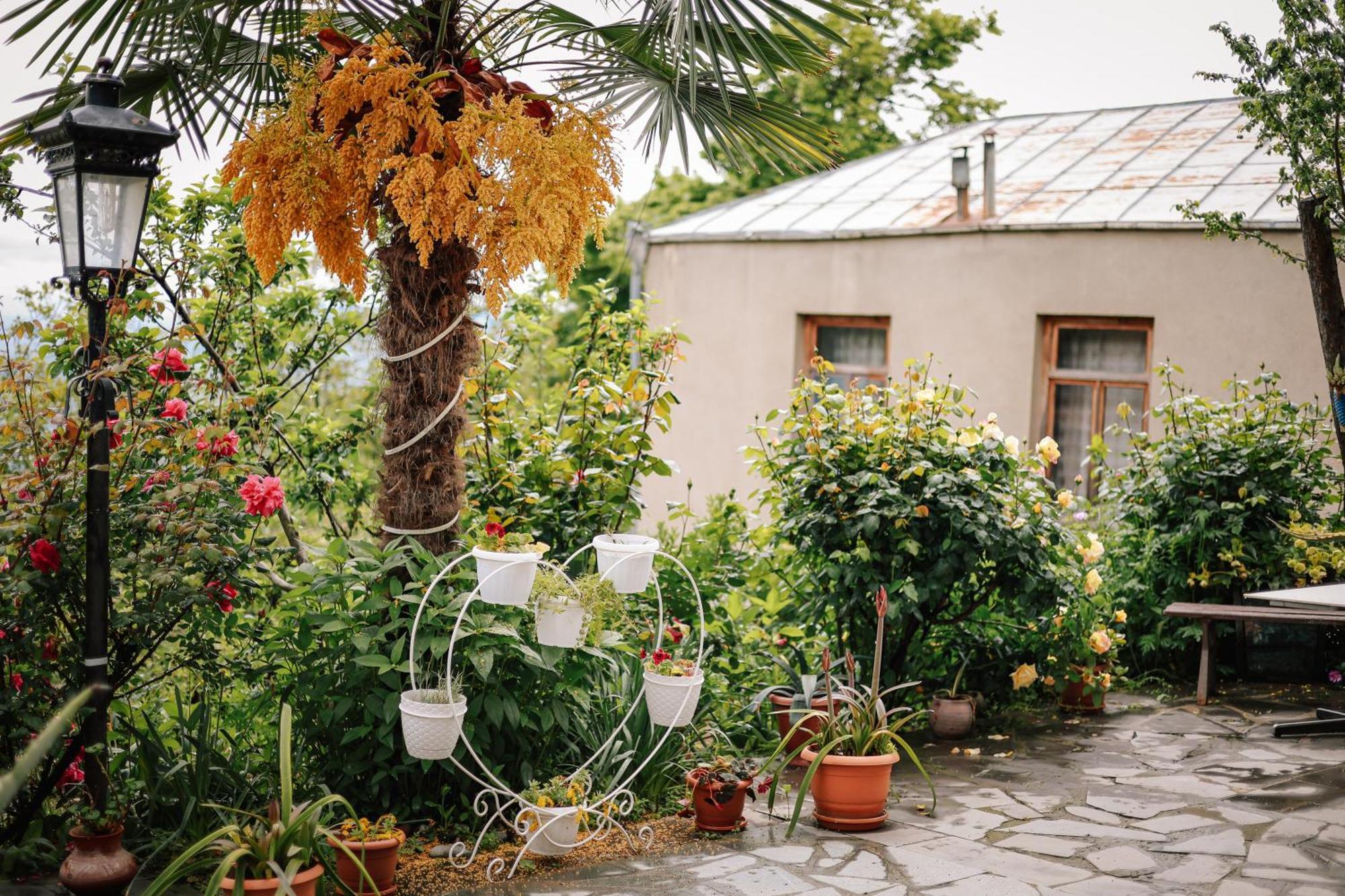 Hotel Sighnaghi Garden House Zewnętrze zdjęcie